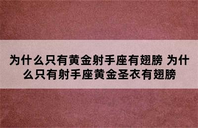 为什么只有黄金射手座有翅膀 为什么只有射手座黄金圣衣有翅膀